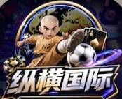 纵横国际1000反388